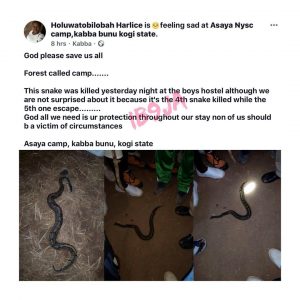 Kogi State corps member cries out after the 4th snake was killed in their camp