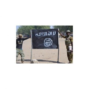 Army ‘uncovers’ Boko Haram recruitment link on social media