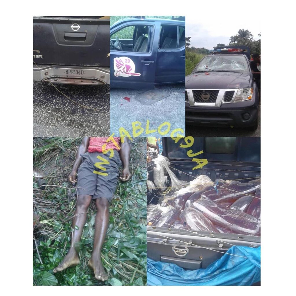 Policemen fleeing after vandalizing a pipeline, crush man to death