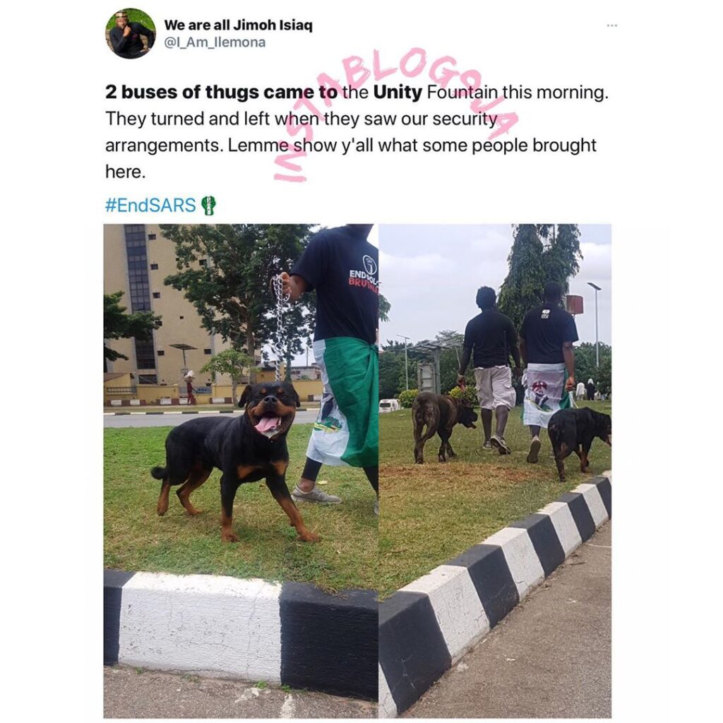 Dogs save the day in Abuja during the #EndSARS protest