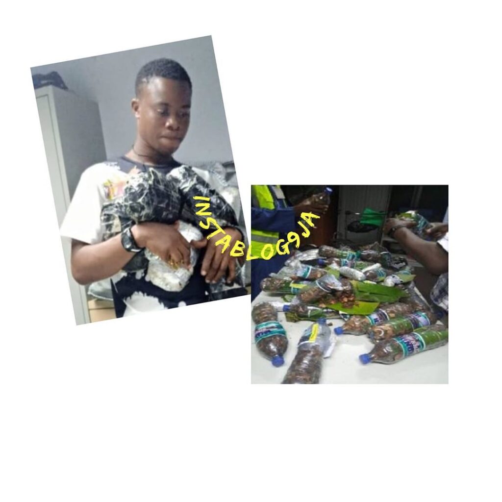 Cyprus bound student arrested with 13.55 kg of Cannabis in Abuja