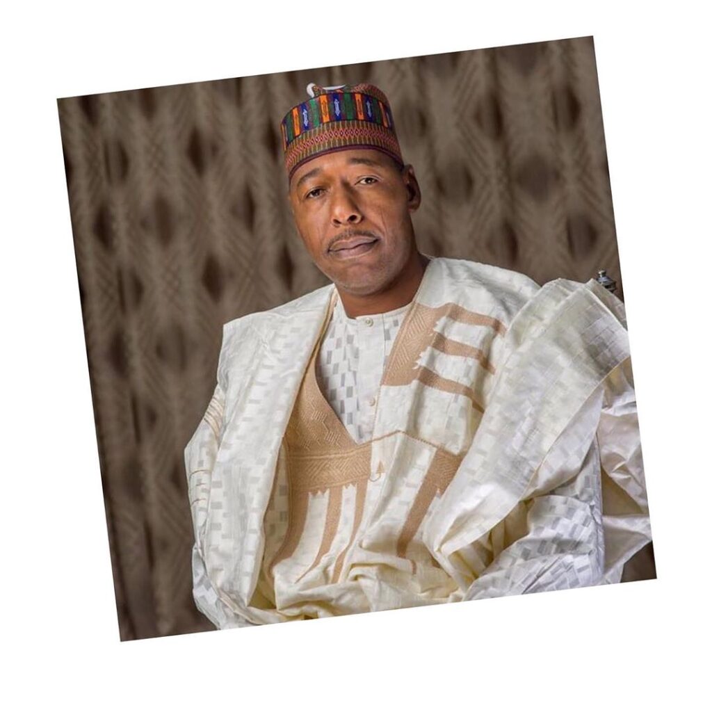 EndSARS: “Boko Haram started with protests,” Gov. Zulum warns youths