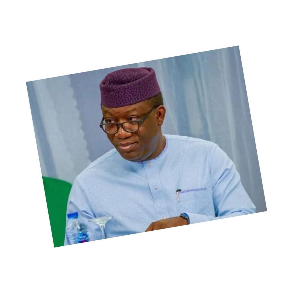 I was a victim of police brutality — Fayemi