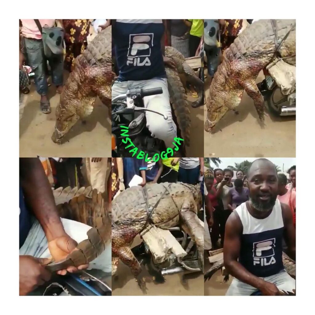 Residents troop out after a huge crocodile was killed in Umunze, Anambra State.