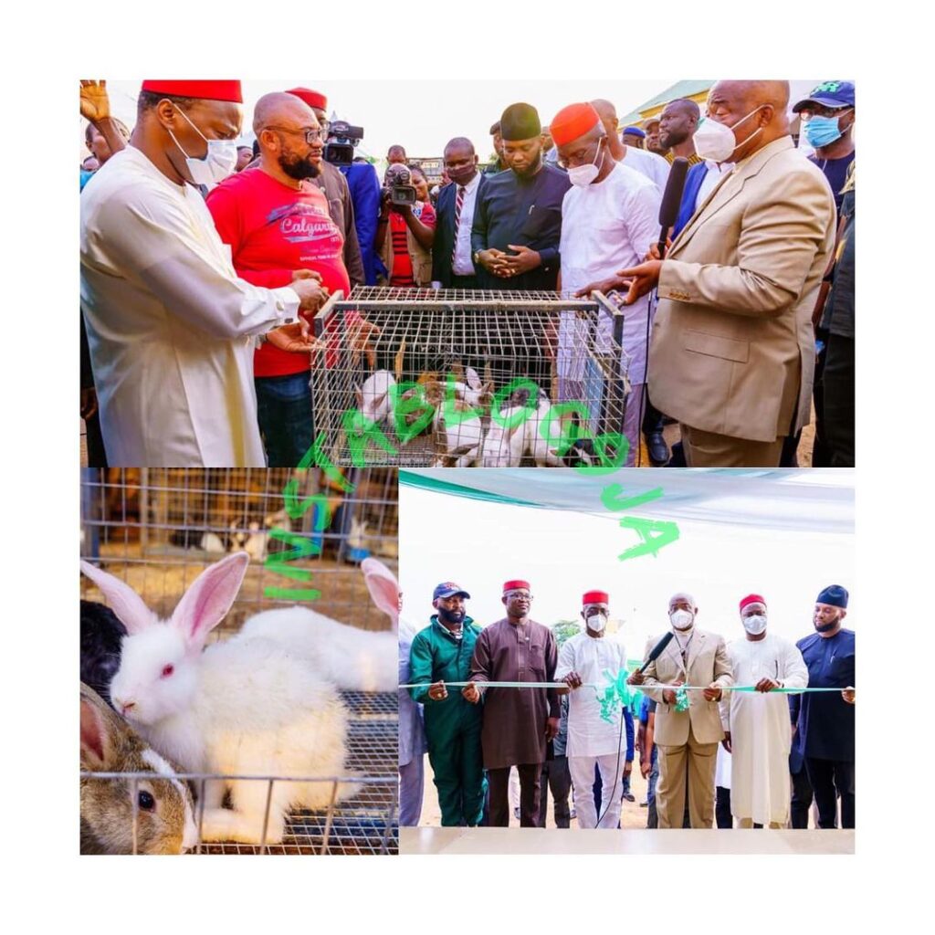 Imo State Governor empowers unemployed youth with Rabbits