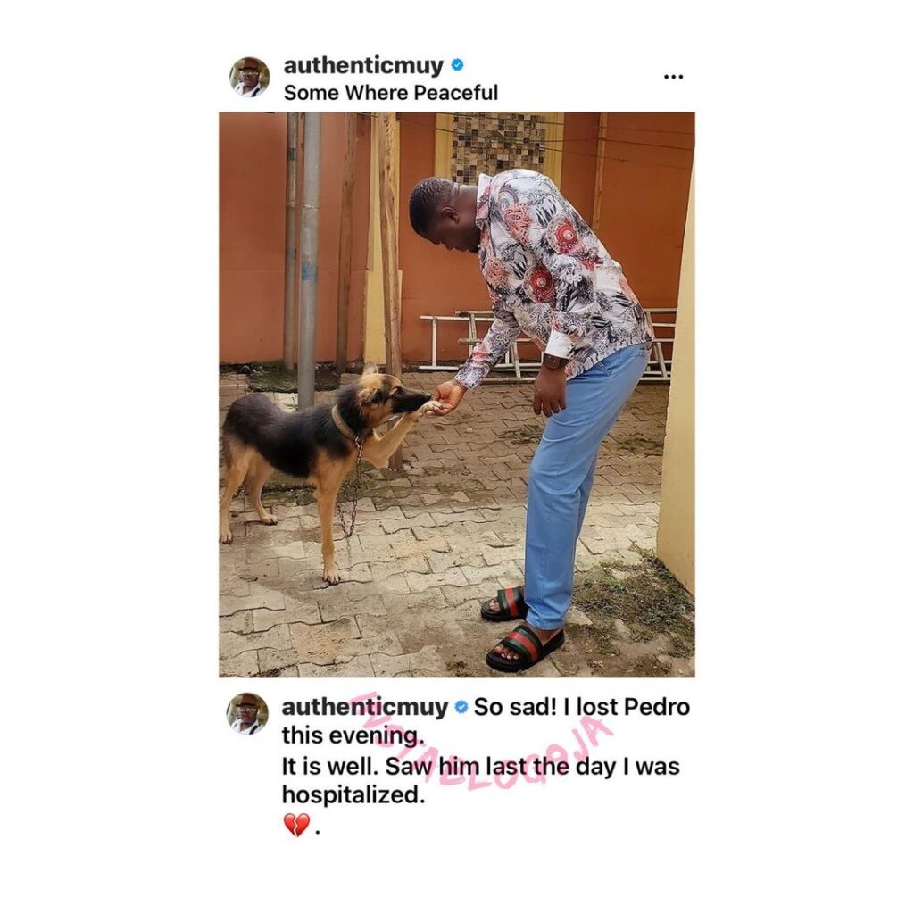 Actor Muyiwa Ademola mourns the death of Pedro