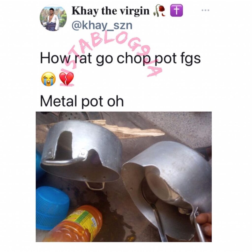 Nigerians cry out as rats start eating their metallic pots. [Swipe]