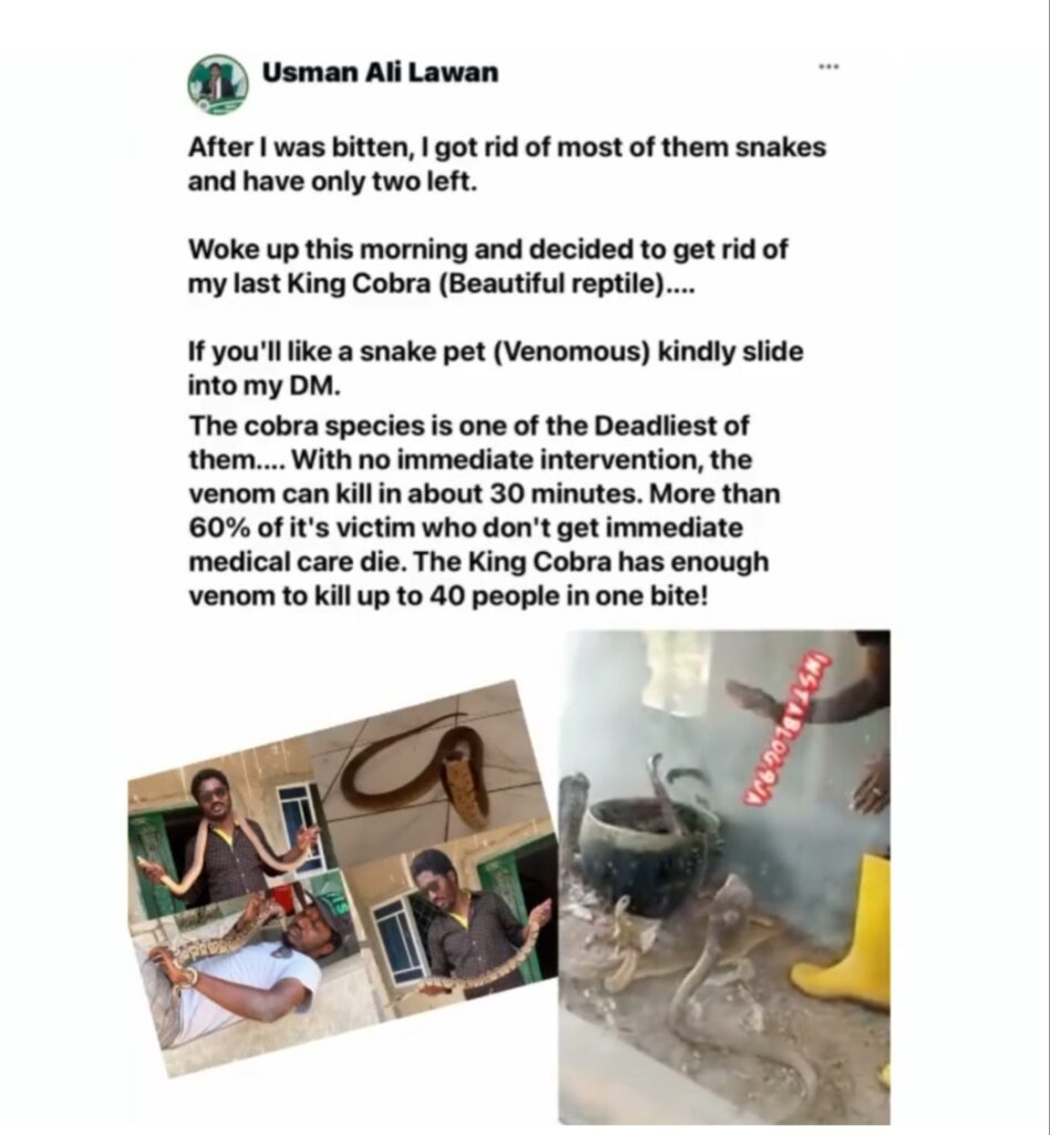 Pet lover lectures Nigerians after narrowly escaping being killed by his beloved pet snake