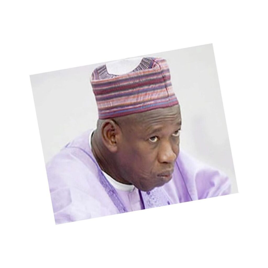 Movement of cattle from North to South should be banned — Kano Governor