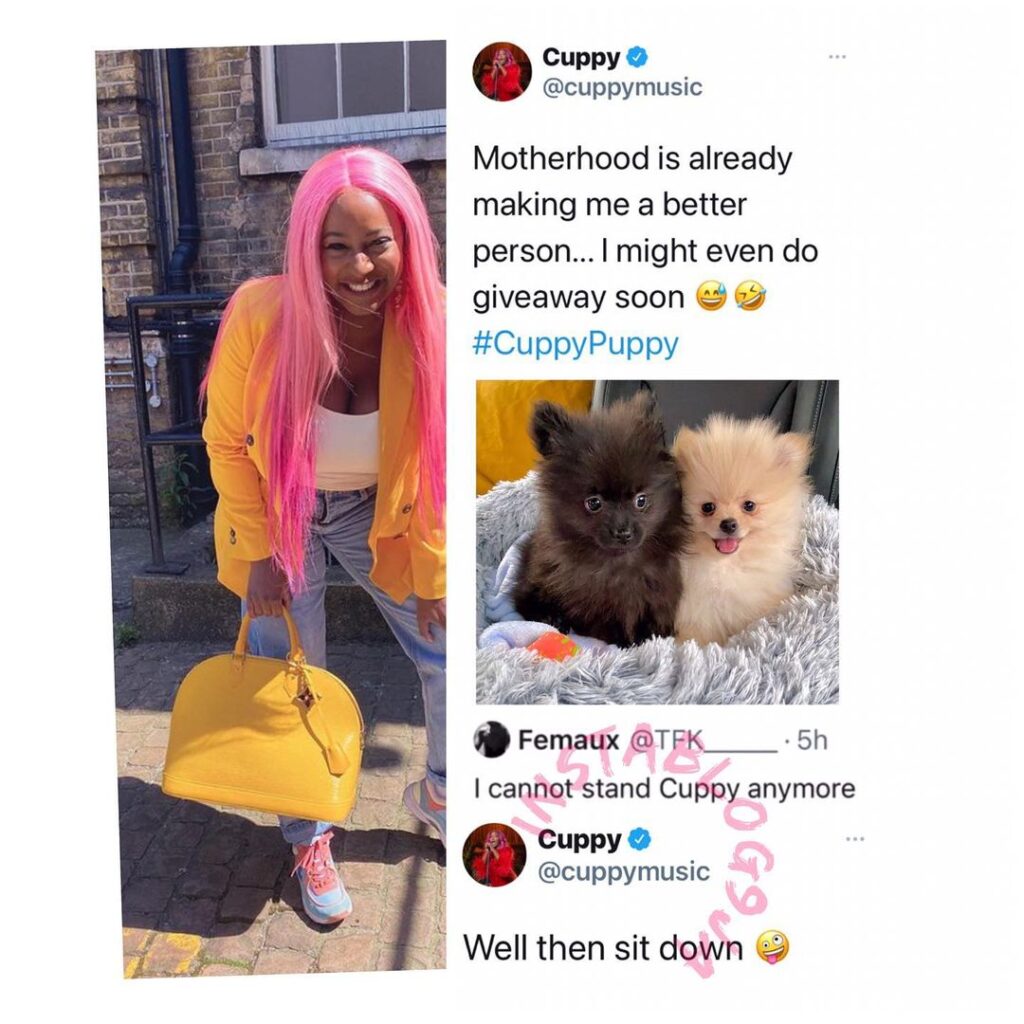 DJ Cuppy advises a follower who is against her transition into motherhood