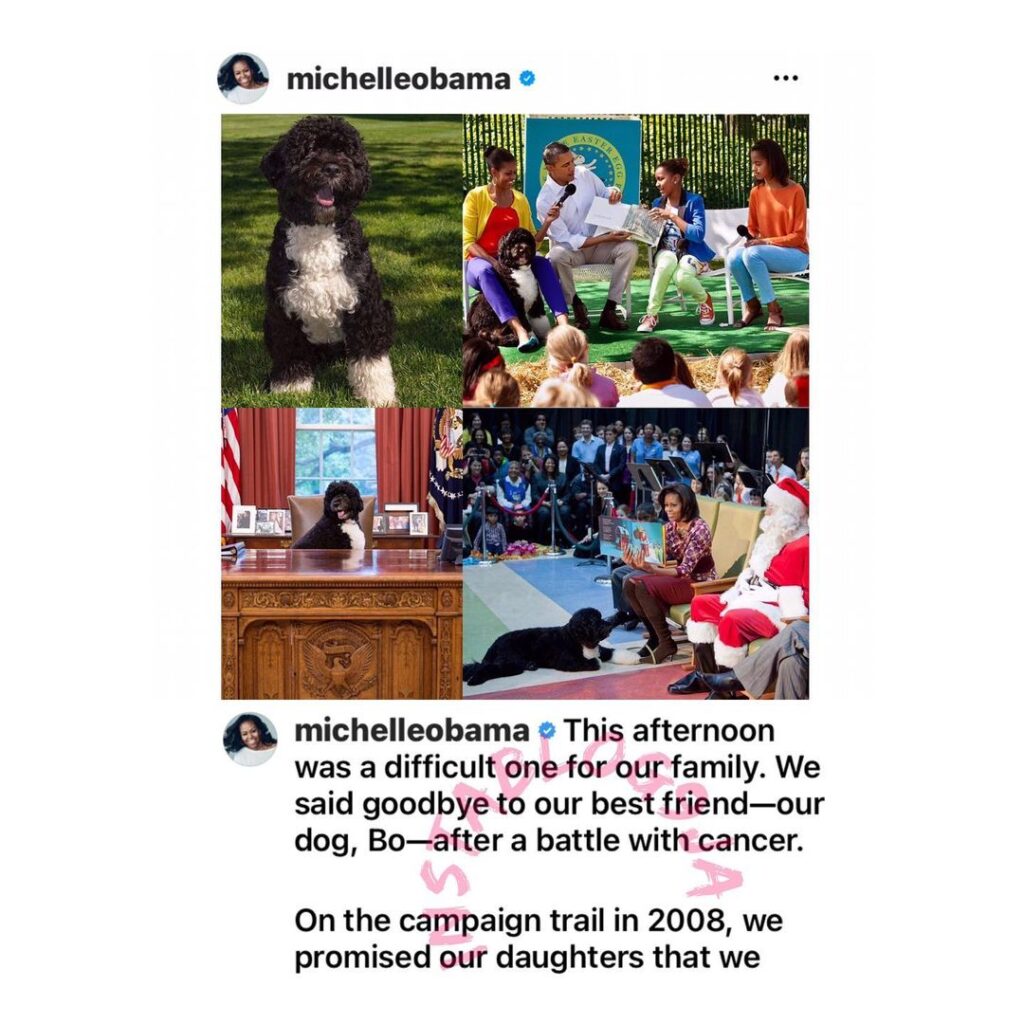 The Obamas announce the passing of their dog [Swipe]