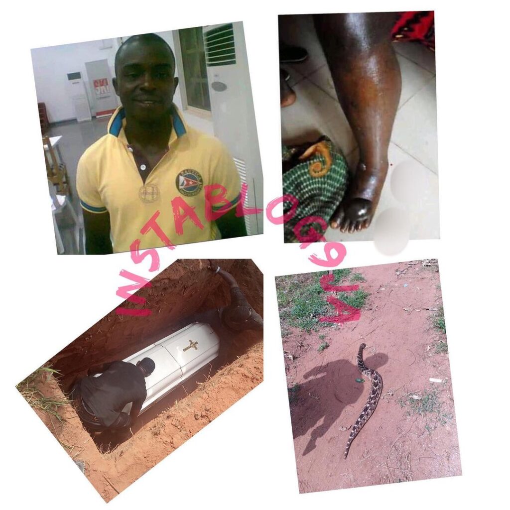 Tears as man dies after being bitten by a “spiritual” snake in Edo State