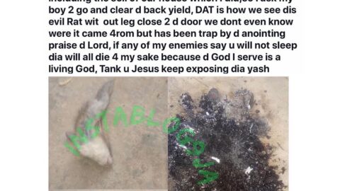 Nigerian man reveals how God exposed a strange legless rat that paid him a courtesy visit