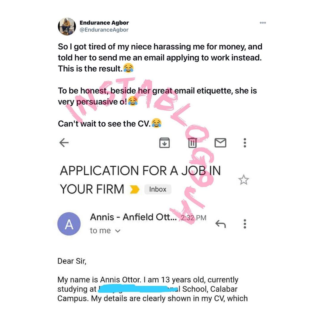 Lawyer Shares The Audacious Job Application Email He Received From His 13 Year Old Niece Swipe Instablog9ja