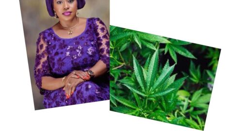 Lawmakers propose legalizing Marijuana cultivation, registration of traders in Nigeria
