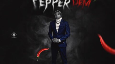 MP3 Download: Too Yung – Pepper Dem | Prod.D2 Akwaba