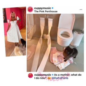 Motherhood: New mom, DJ Cuppy, seek help after her 'child' messed up her toilet