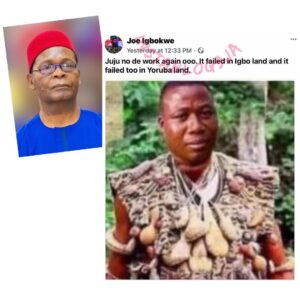 Nnamdi Kanu-Sunday Igboho: Juju has failed — Gov. Sanwoolu’s aide Joe Igbokwe