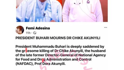 K*llers of late Prof. Dora Akunyili’s husband will face judgment of man and God — Pres. Buhari [Swipe]