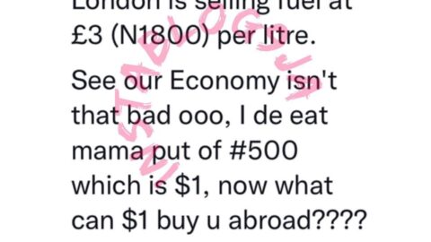 Nigeria’s economy isn’t that bad — Buhari’s prodigal daughter