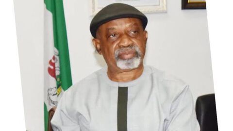 You’re lucky to have me as minister — Ngige tells Nigerian doctors