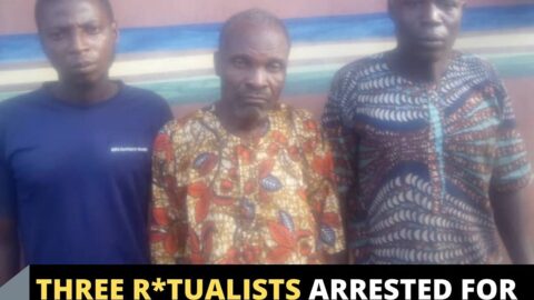 Three r*tualists arrested for exhuming a corpse in Ogun .