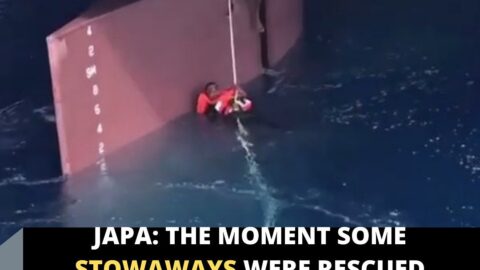 Japa: The moment some stowaways were rescued from the rudder of a ship