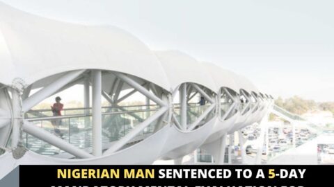 Nigerian man sentenced to a 5-day mandatory mental evaluation for crossing an expressway in UAE