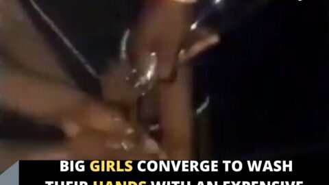 Big girls converge to wash their hands with an expensive wine at a nightclub