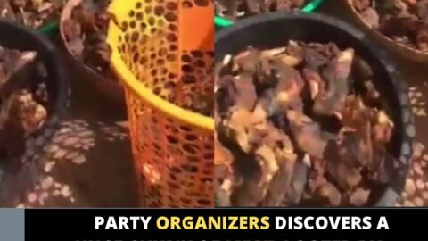 Party organizers discovers a huge chunk of meat  looted by their caterers