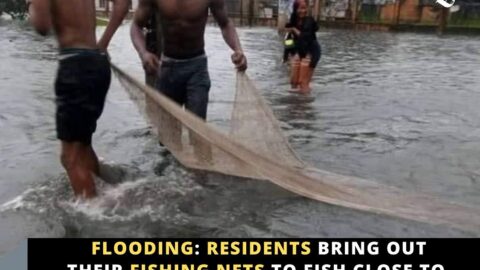 Flooding: Residents bring out their fishing nets to fish close to the government house in Rivers State