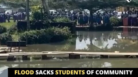 Flood sacks students of Community Secondary School, Rumuapara, Rivers State