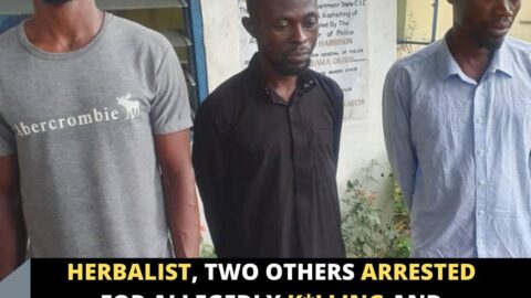 Herbalist, two others arrested for allegedly k*lling and beh*ading 9-yr-old boy in Rivers .