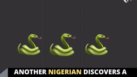 Another Nigerian discovers a snake in his WC, others adopt precautionary measures