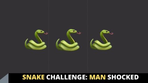 Snake Challenge: Man shocked by what he saw in his toilet in Edo State