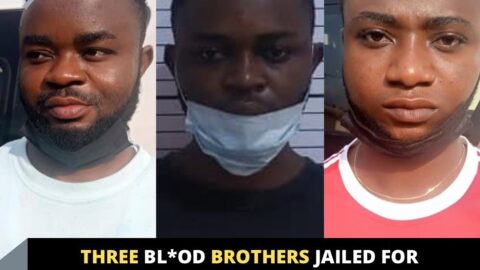 Three Bl*od Brothers Jailed for Internet Fra*d At The Same Time. To Forfeit properties, cash to the FG
