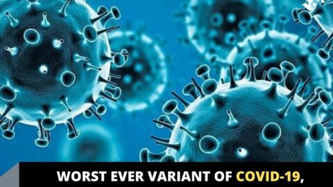 Worst ever variant of COVID-19, Omicron, detected in South Africa, Others .