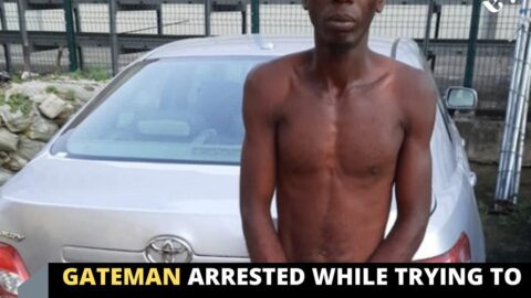 Gateman arrested while trying to sell employer’s N3million car for N350k in Calabar .