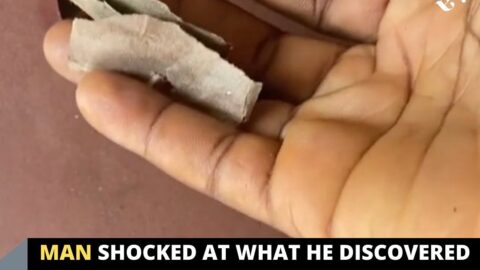 Man shocked at what he discovered inside a security door he bought in Warri, Delta State