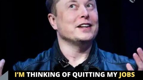 I’m thinking of quitting my jobs to become an influencer — Tesla Owner, Elon Musk