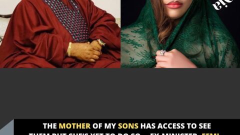 The mother of my sons has access to see them but she’s yet to do so— Ex-minister, Femi Fani-Kayode, reacts to Precious Chikwendu’s recent plea