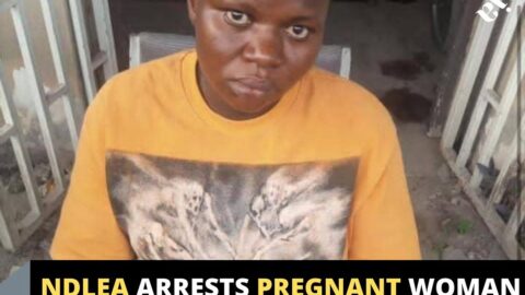 NDLEA arrests pregnant woman with 1,441kg skunk in Lagos .