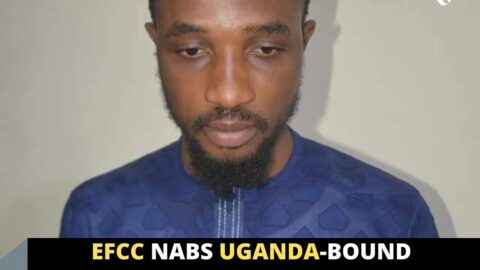 EFCC nabs Uganda-bound man with 576 ATM cards in Kano