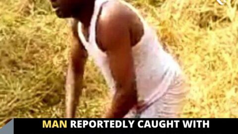 Man reportedly caught with mut!lated human parts in a sack, in Osun State .