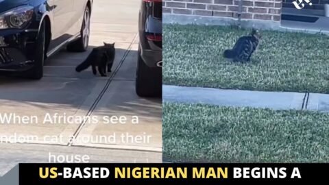 US-based Nigerian man begins a spiritual w@r after spotting a cat near his car