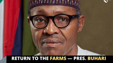 Return to the farms — Pres. Buhari tells those complaining about the country’s economy