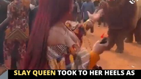 Slay Queen took to her heels as the ‘gods’ moved towards her at an event