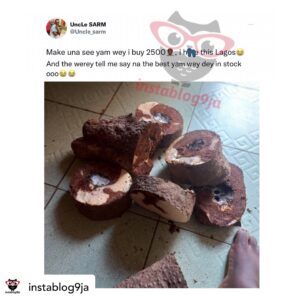 Data scientist displays the ‘fresh’ yam he got for N2500 in Lagos