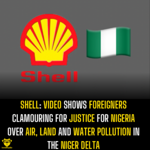 Shell: Video shows foreigners clamouring for justice for Nigeria over air, land and water pollution in the Niger Delta