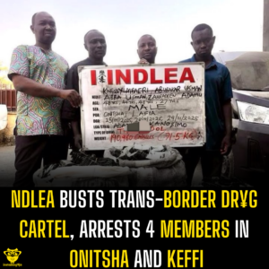 NDLEA busts trans-border dr¥g cartel, arrests 4 members in Onitsha and Keffi